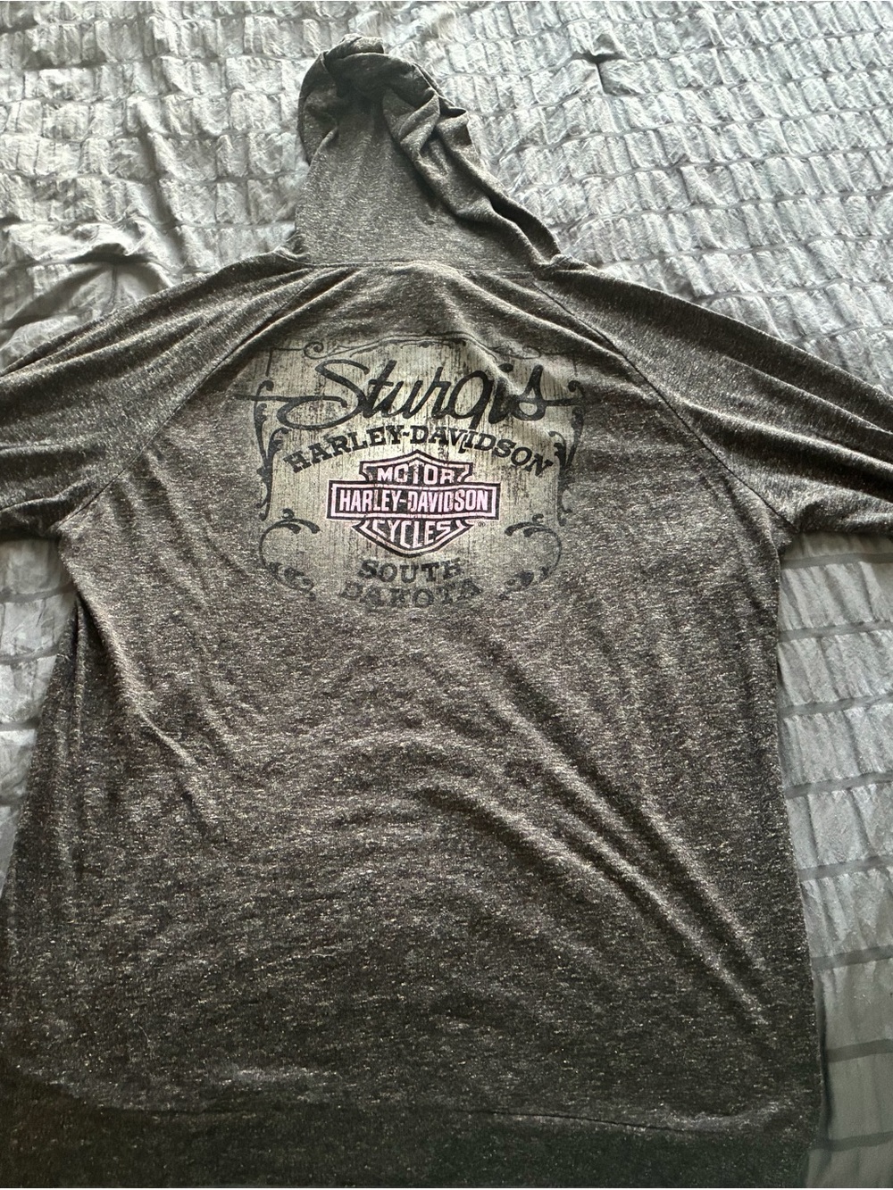 Harley-Davidson Gray Hooded Pullover with Sturgis Graphic